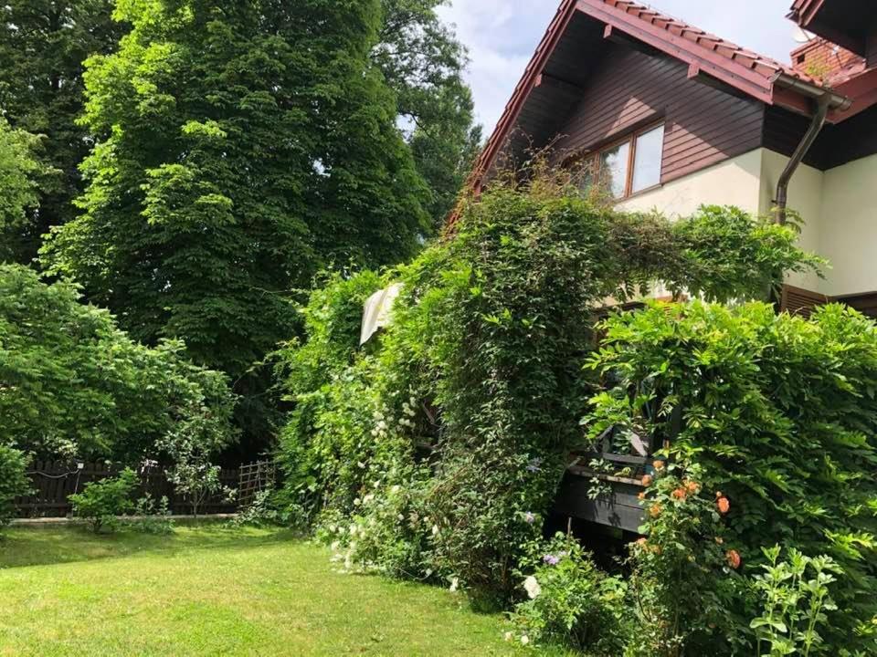 BolechowiceLesna 6 - House With A Garden别墅 外观 照片